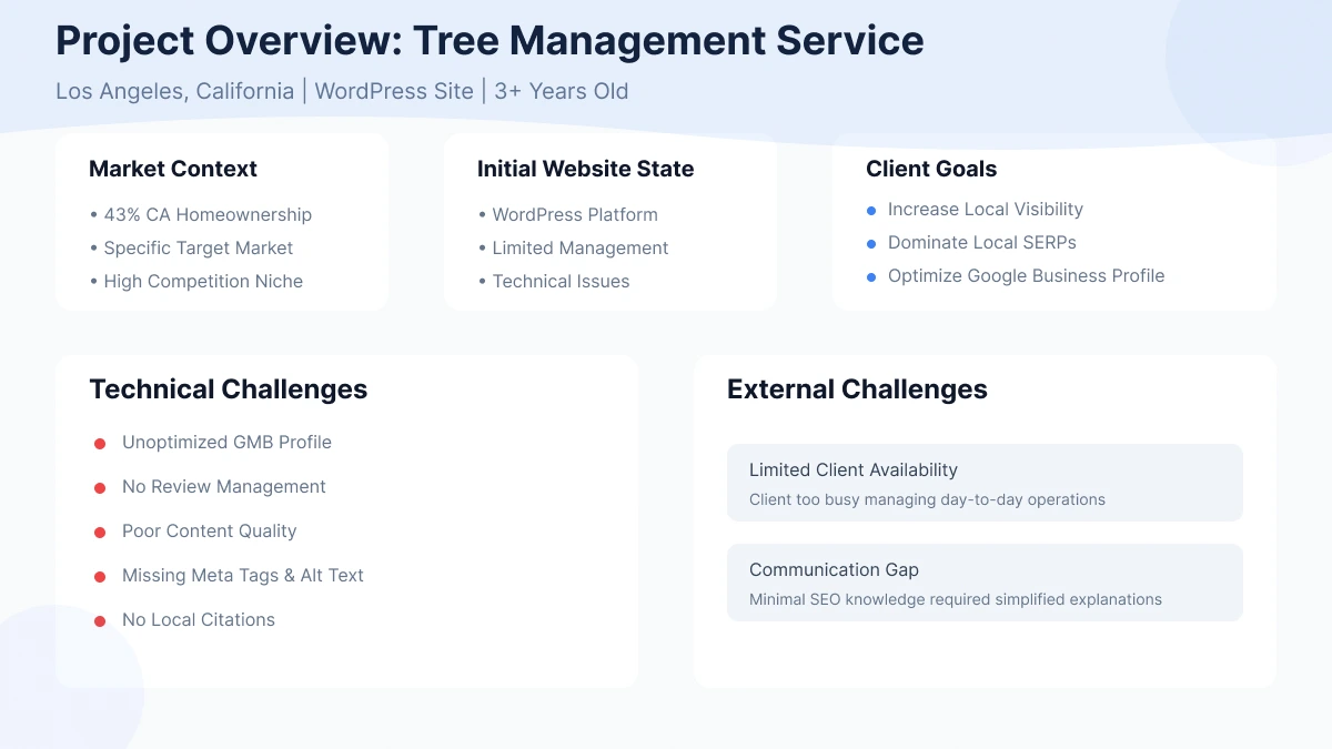 SEO Case Study Results