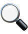 Free Content Audit