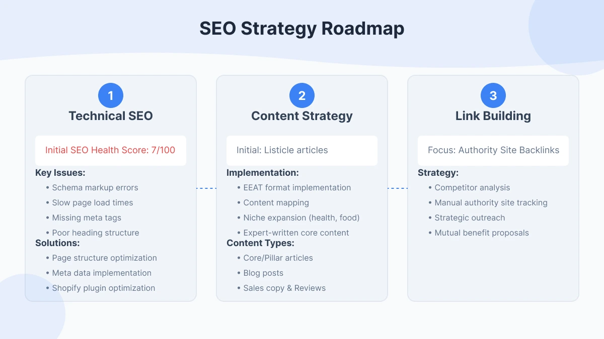 SEO Strategy Infographic